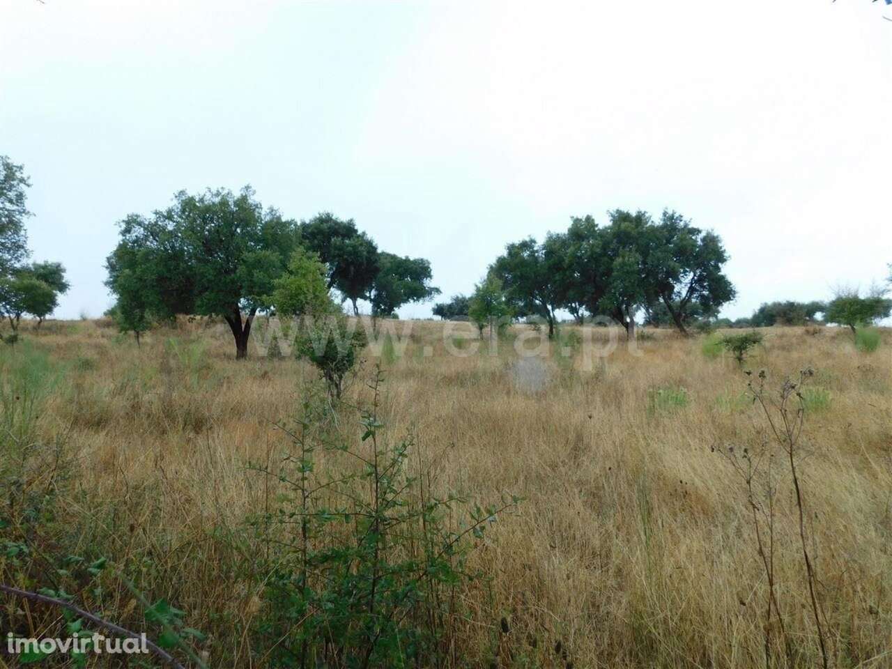 Quinta T1 / Fundão, Quintas da Torre - Grande imagem: 4/18