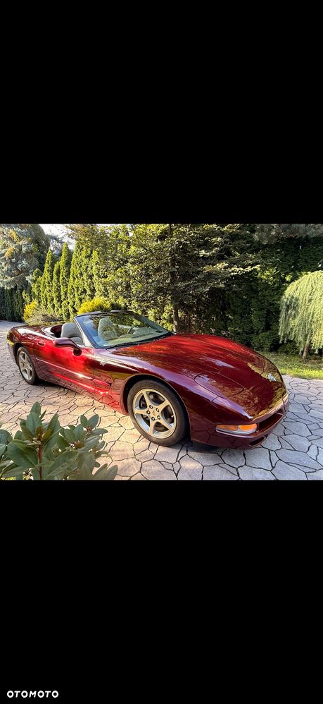 Chevrolet Corvette 2003 photo 5