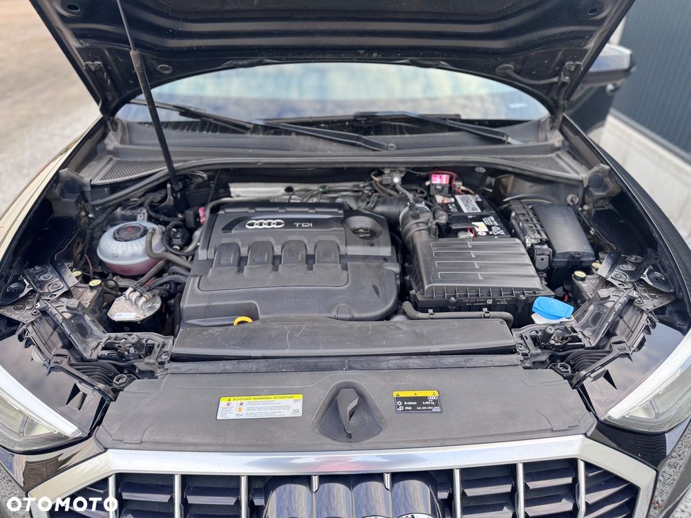 Audi Q3 - 19