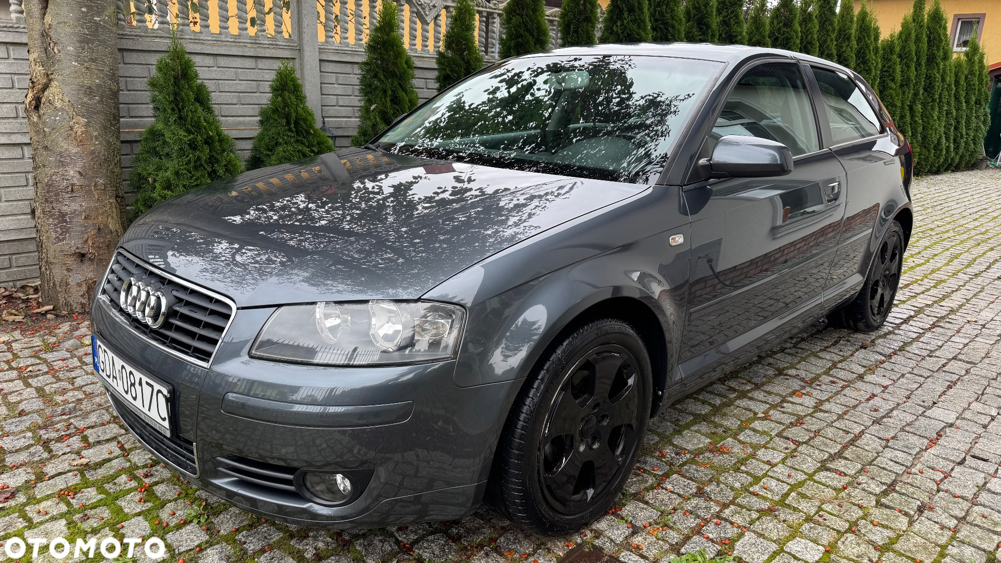 Audi A3 1.6 Ambition - 2