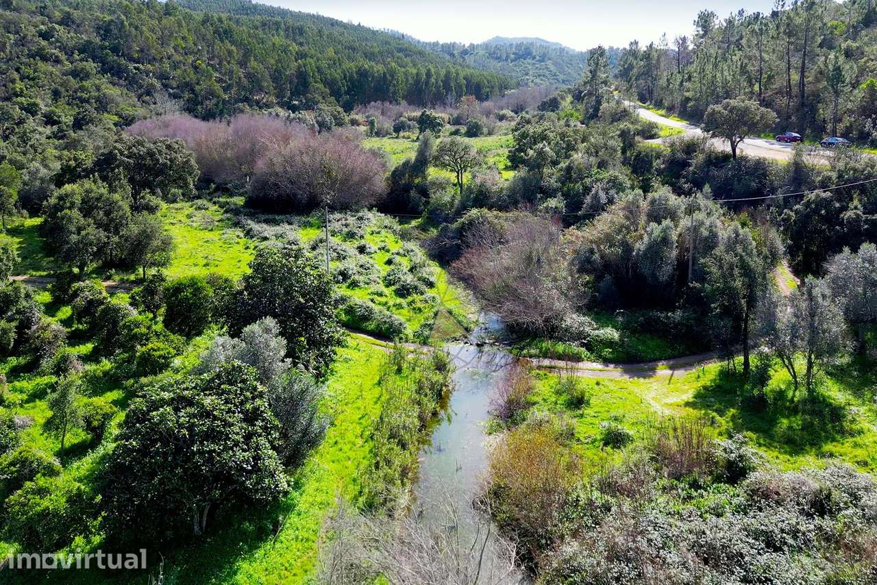 Terreno de 27 Hectares nas Romeiras, Marmelete, Monchique - Grande imagem: 4/28