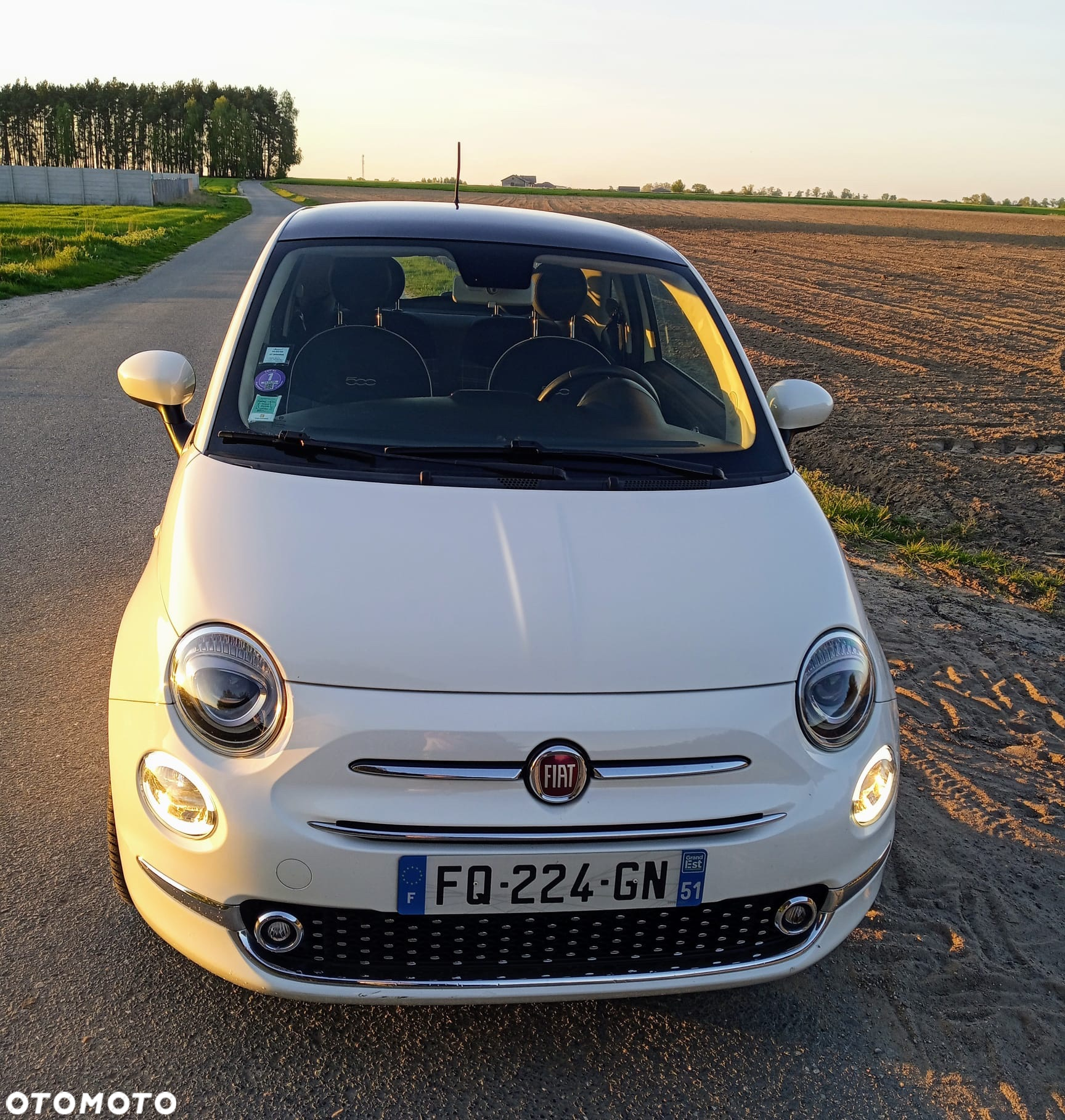 Fiat 500 - 8
