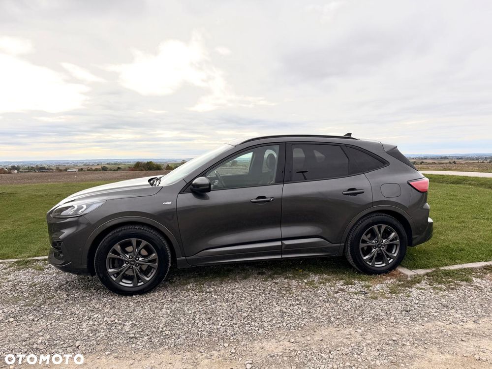 Ford Kuga 2.0 EcoBlue AWD ST-Line X - 3