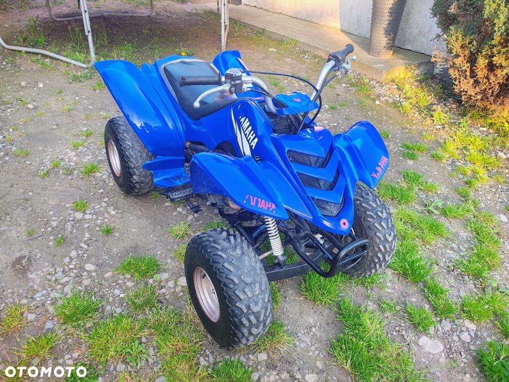 Yamaha Raptor - 2