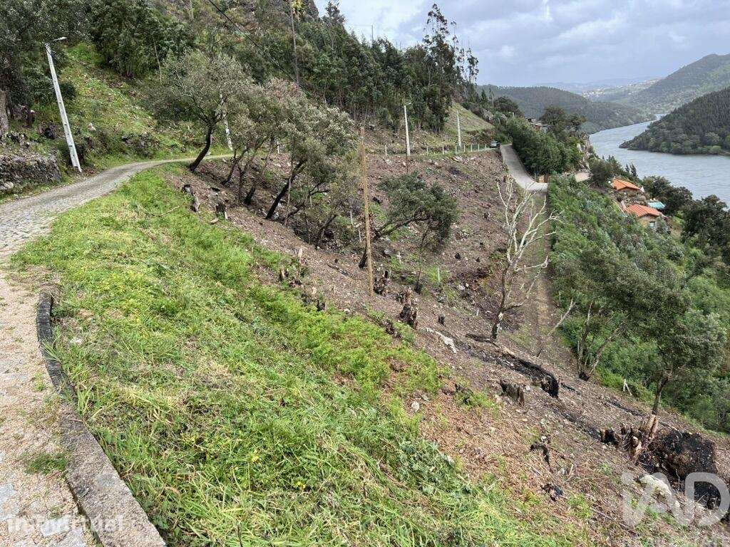 Terreno em Sebolido - Grande imagem: 5/12
