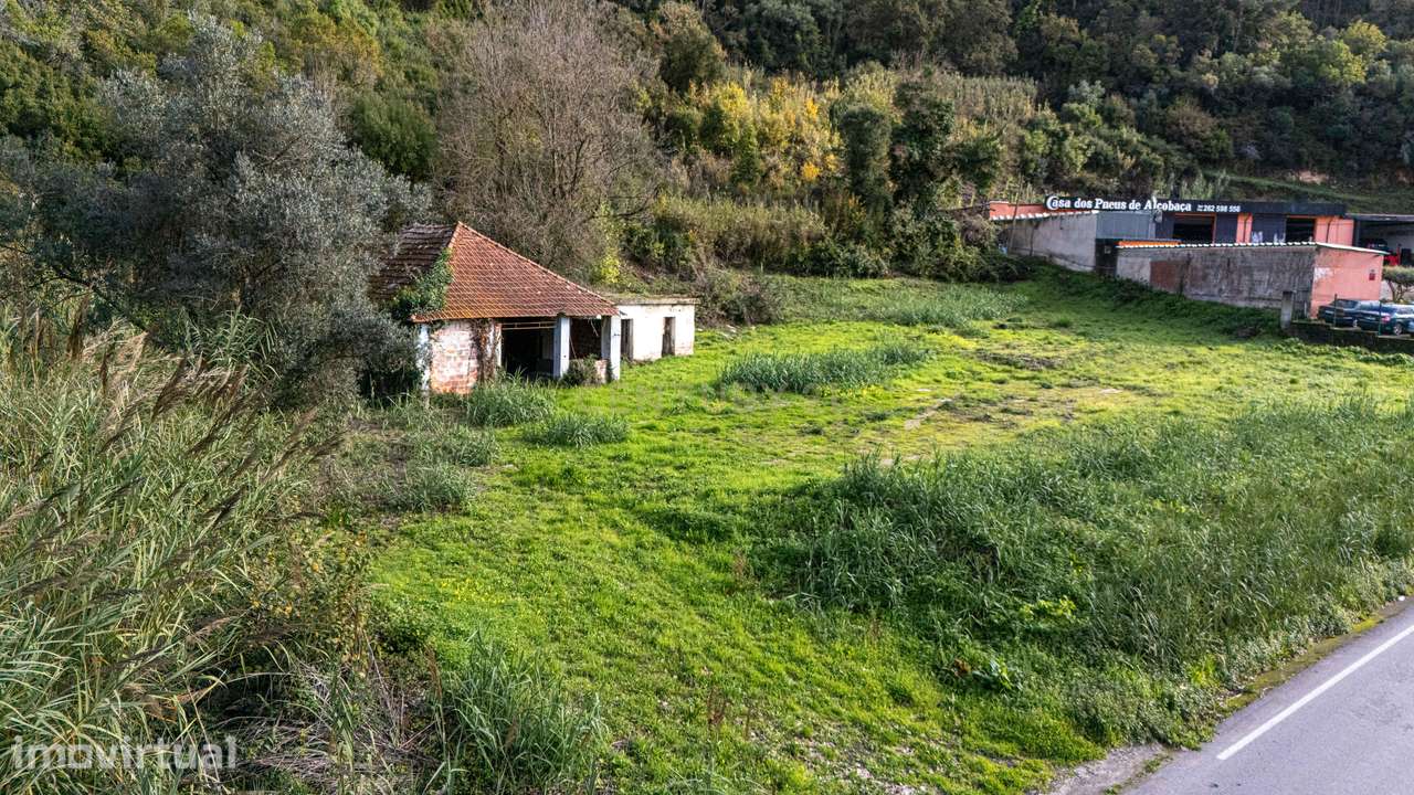 Ruína com terreno de 9800m2 em Alcobaça – Oportunidade Única de invest - Grande imagem: 3/19