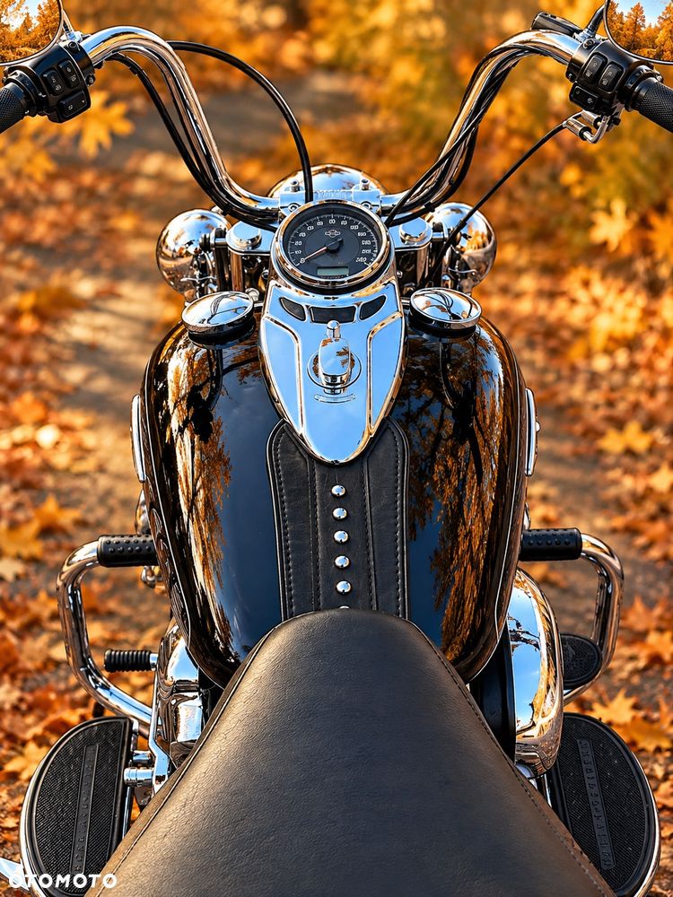 Harley-Davidson Softail Heritage Classic - 10