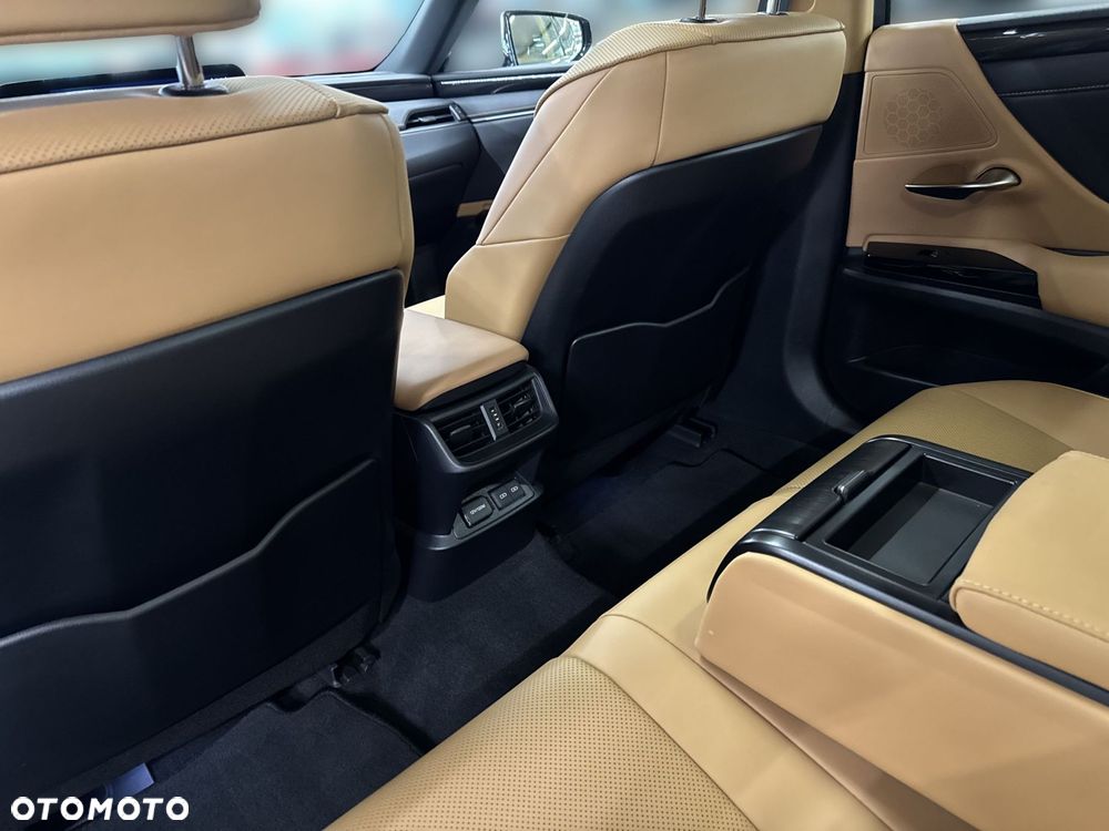 Lexus ES 300h Business Edition - 12