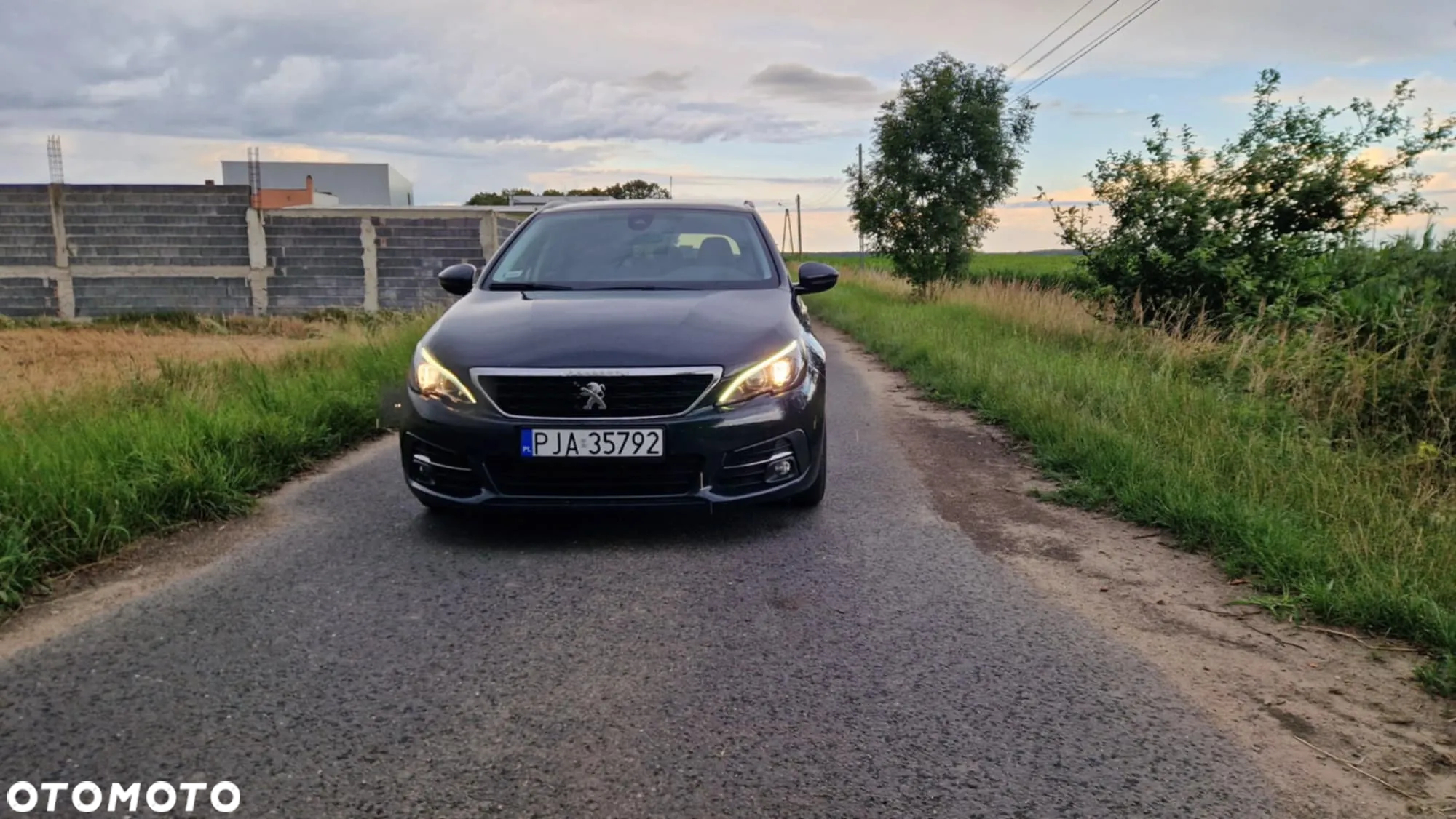 Peugeot 308 1.6 BlueHDi Business Line S&S - 9