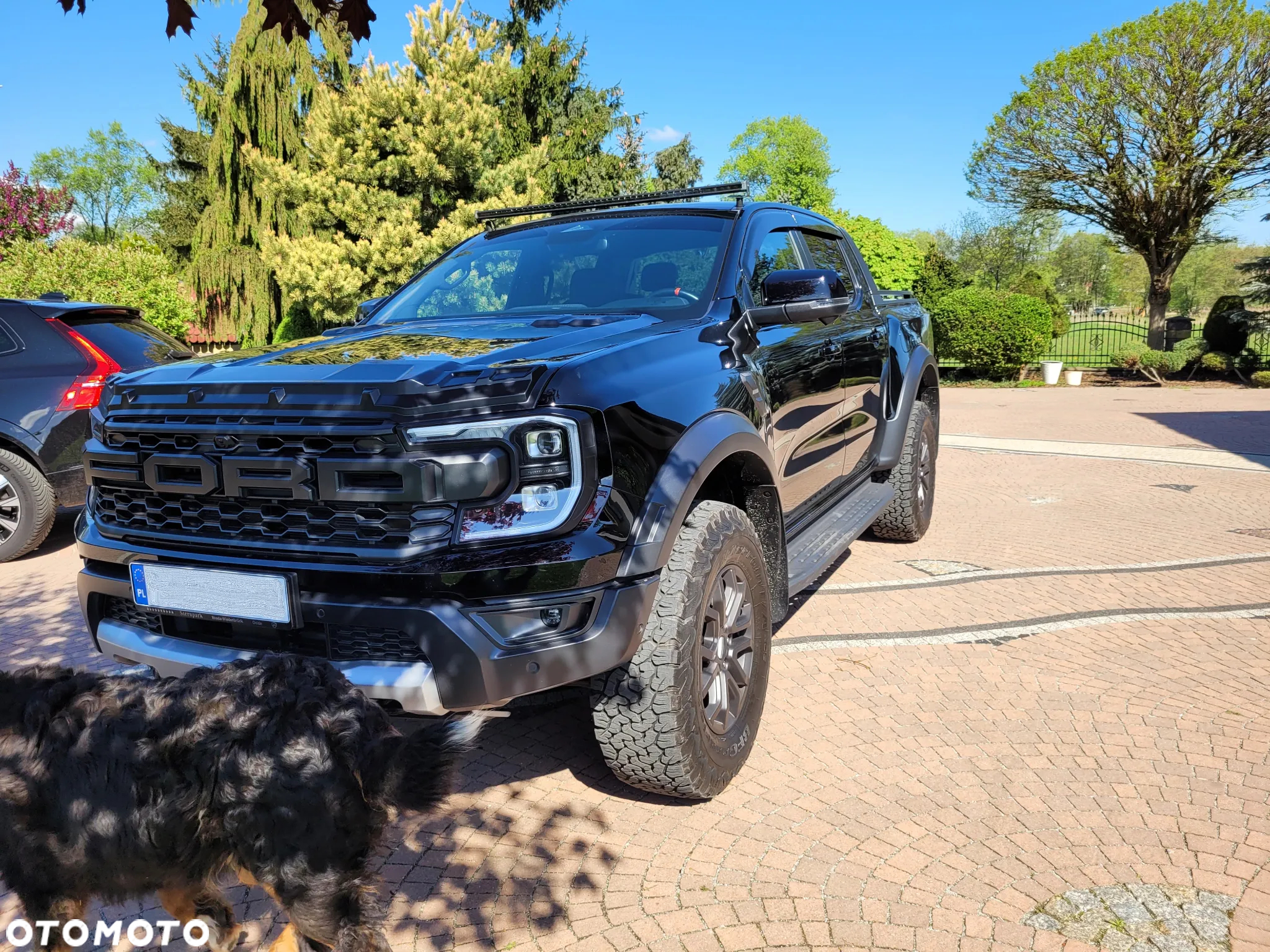 Ford Ranger 3,0 l EcoBoost Doppelkabine Autm Raptor - 7