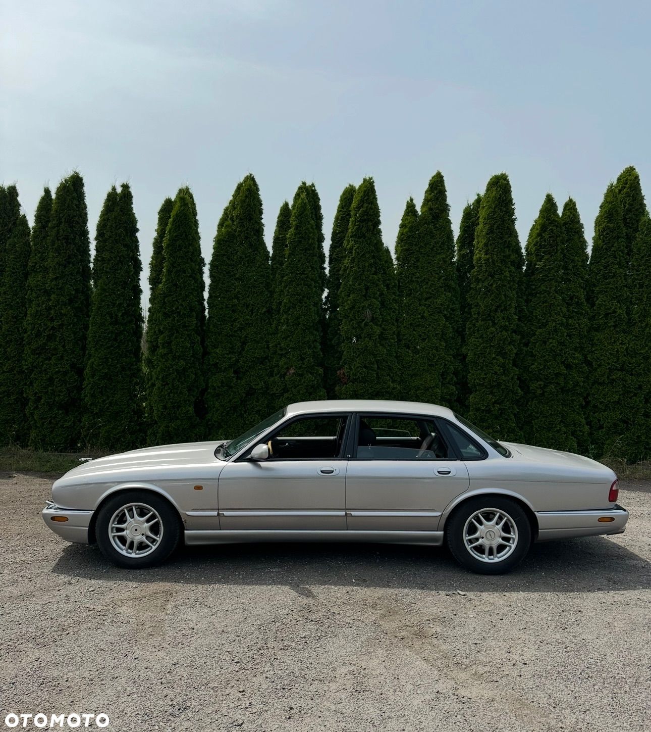 Jaguar XJR Standard - 1