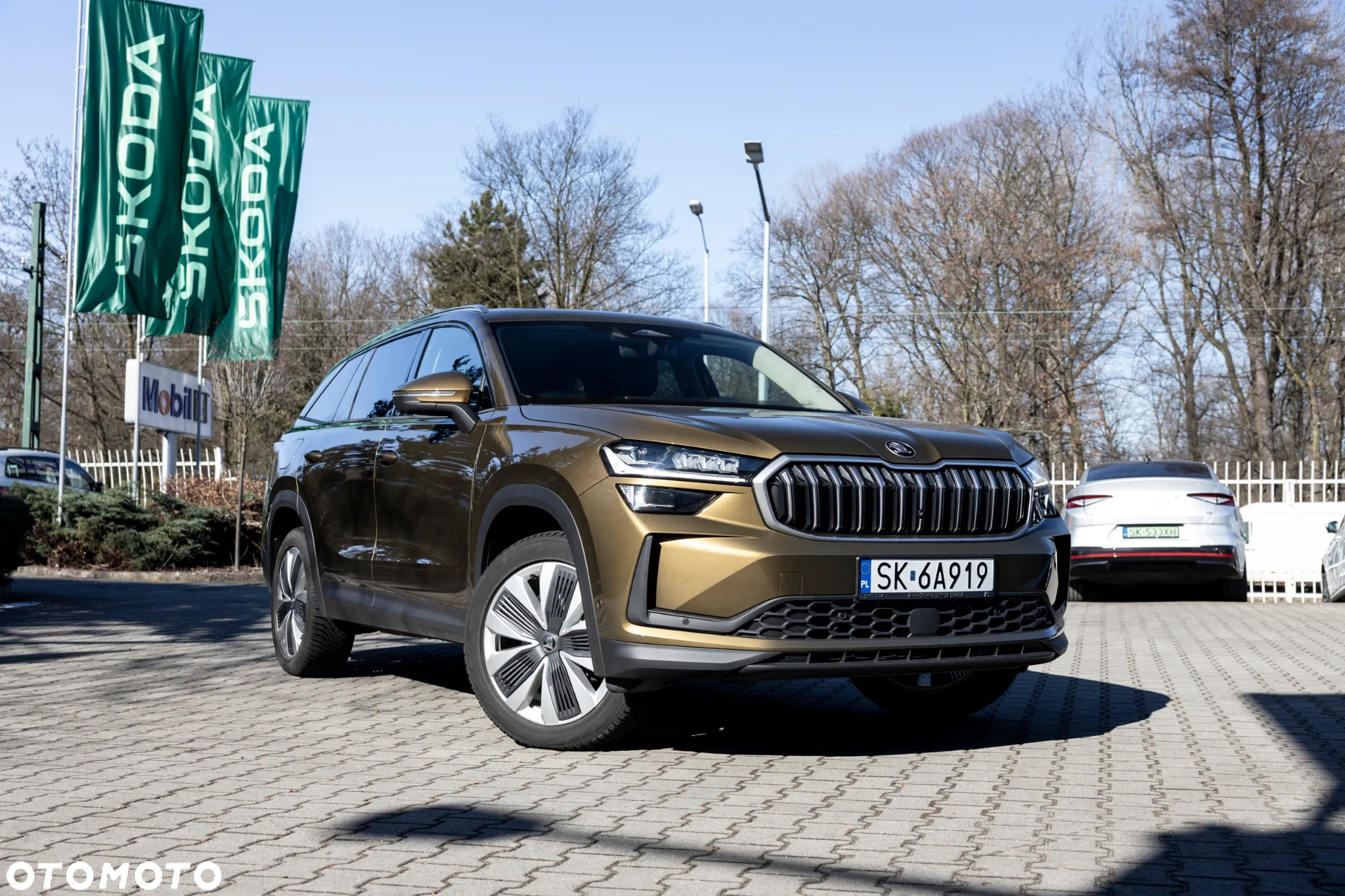Skoda Kodiaq 2.0 TDI 4x4 Selection DSG - 2
