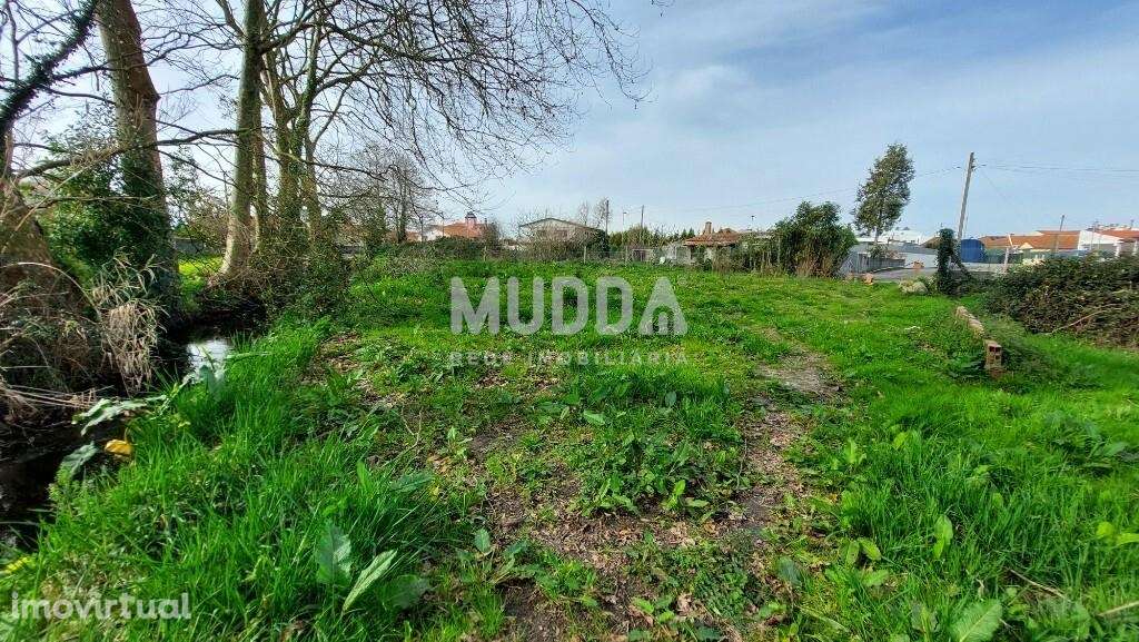 Terreno Rústico de 700 m2 com Viabilidade de Construção em Pardilhó - - Grande imagem: 2/4