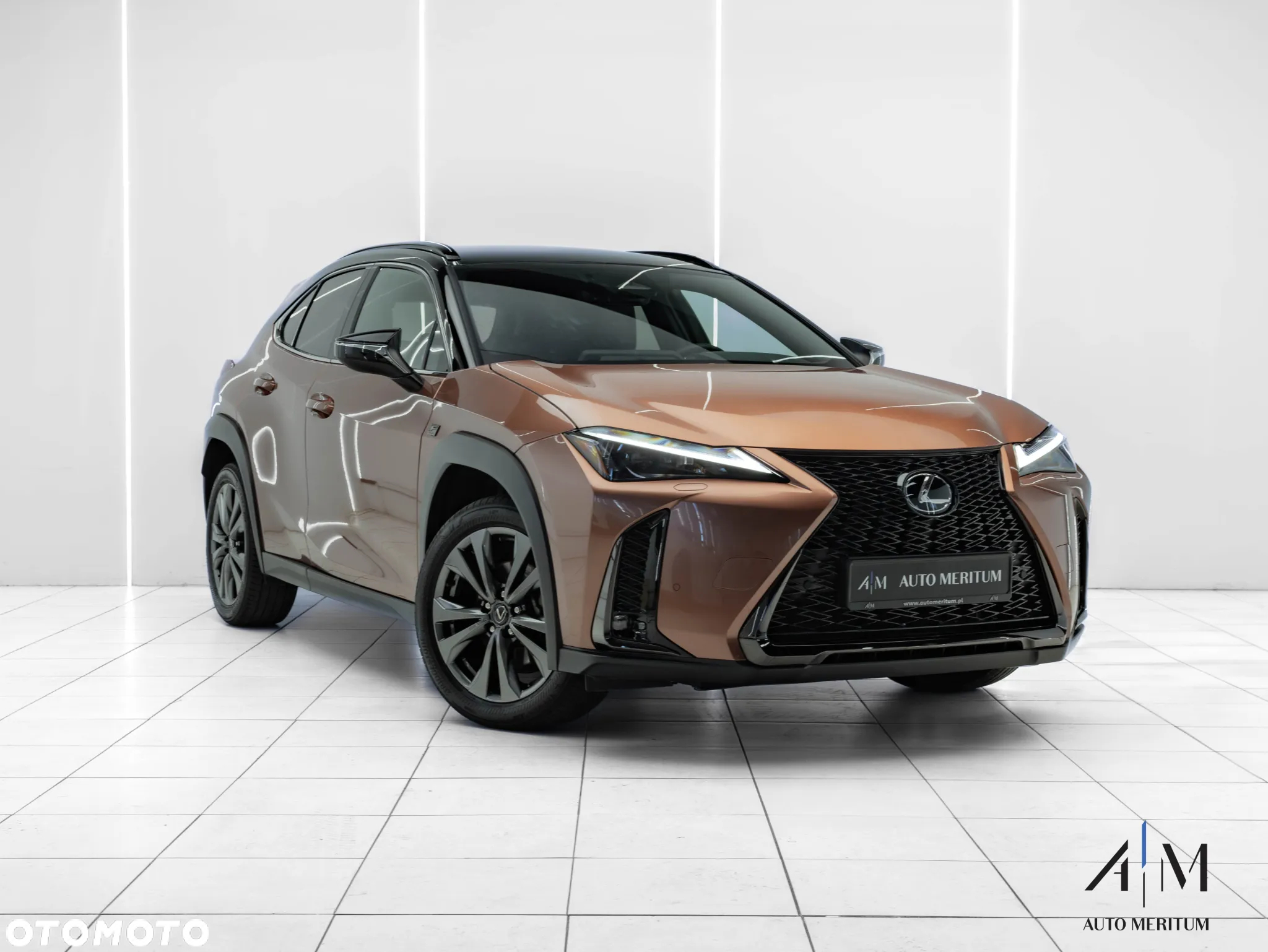 Lexus UX 300h F Sport Design AWD - 2