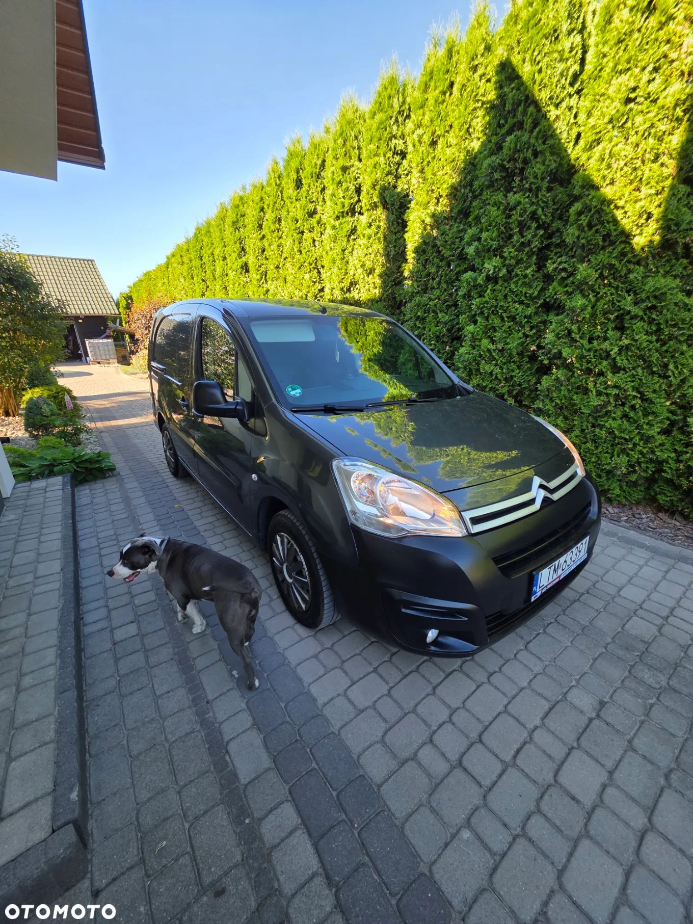 Citroën BERLINGO - 1