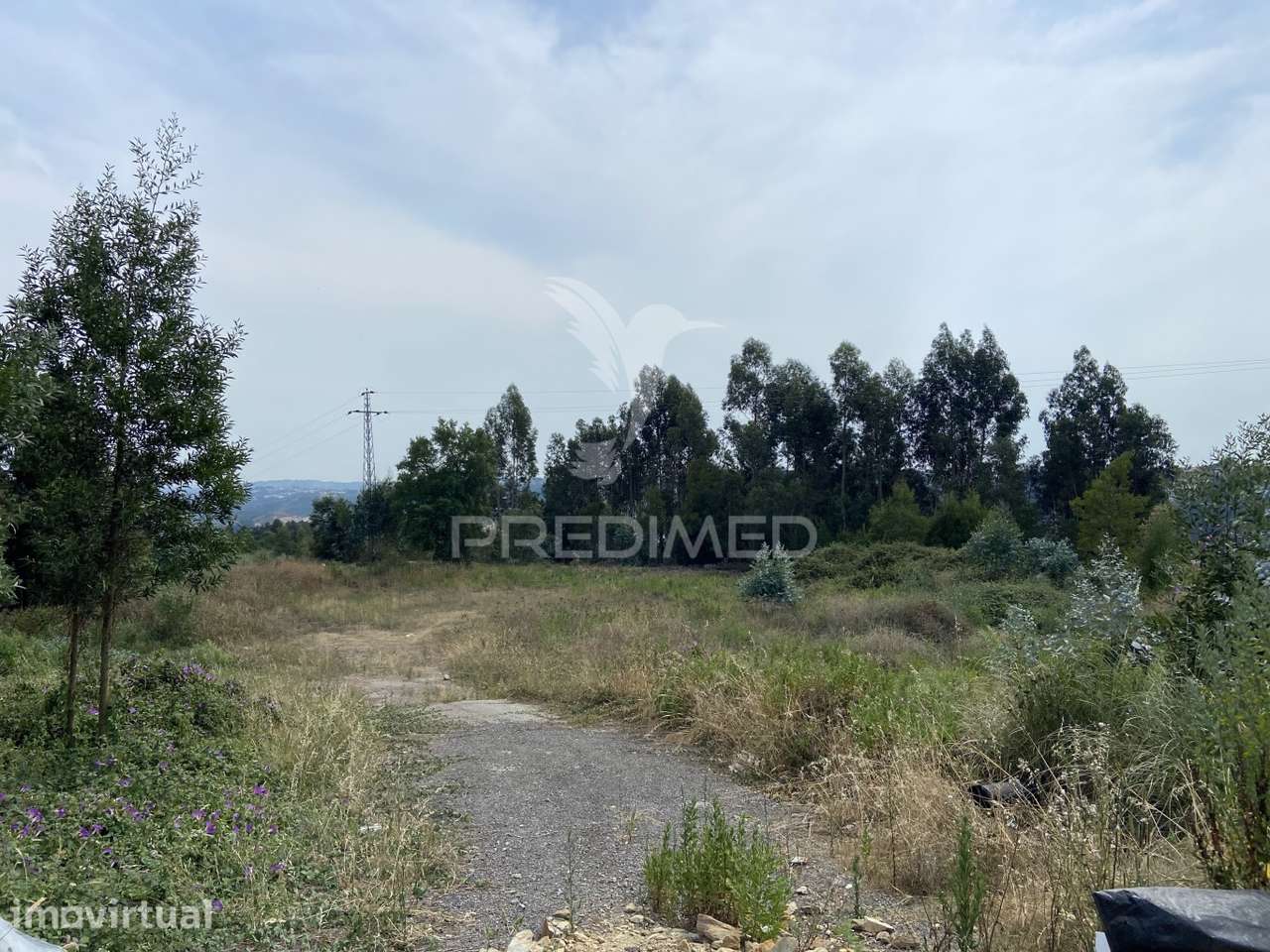 Terreno Rústico com 25.000 m² em São Pedro da Cova – Potencial Agrí... - Grande imagem: 5/6