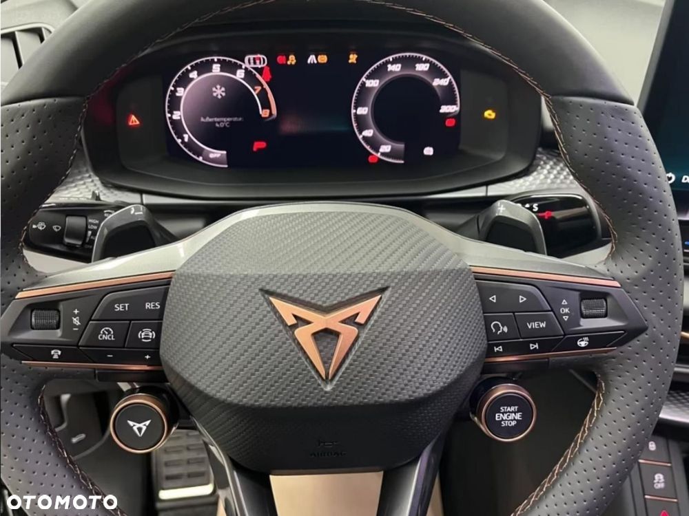 Cupra Terramar - 11