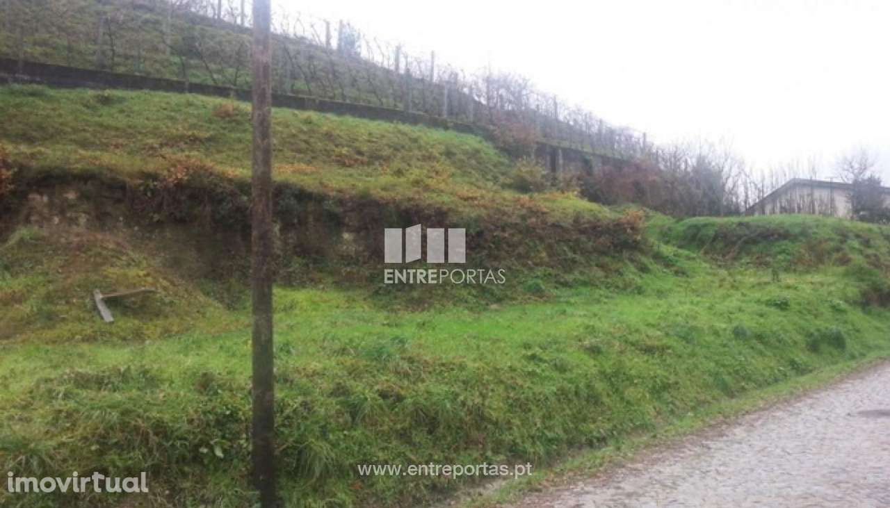 Venda 2 Lotes, Telões, Amarante - Grande imagem: 4/30