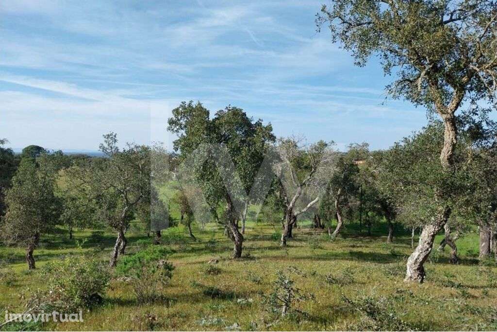 Terreno rústico em Grândola Melides - Grande imagem: 5/11