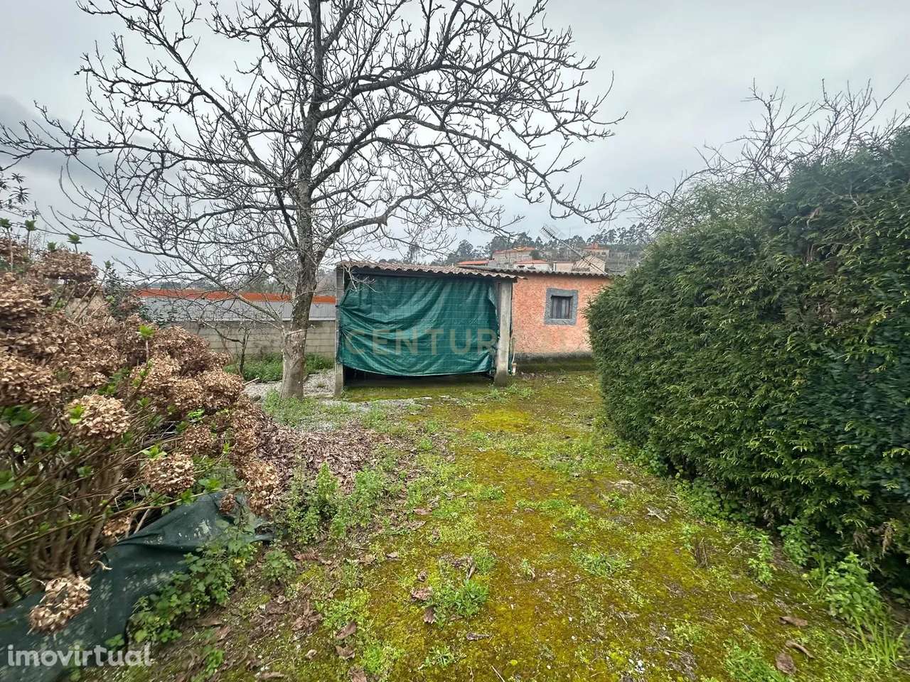 Excelente oportunidade de investimento em Curvos – Sítio da Cachada - Grande imagem: 4/19