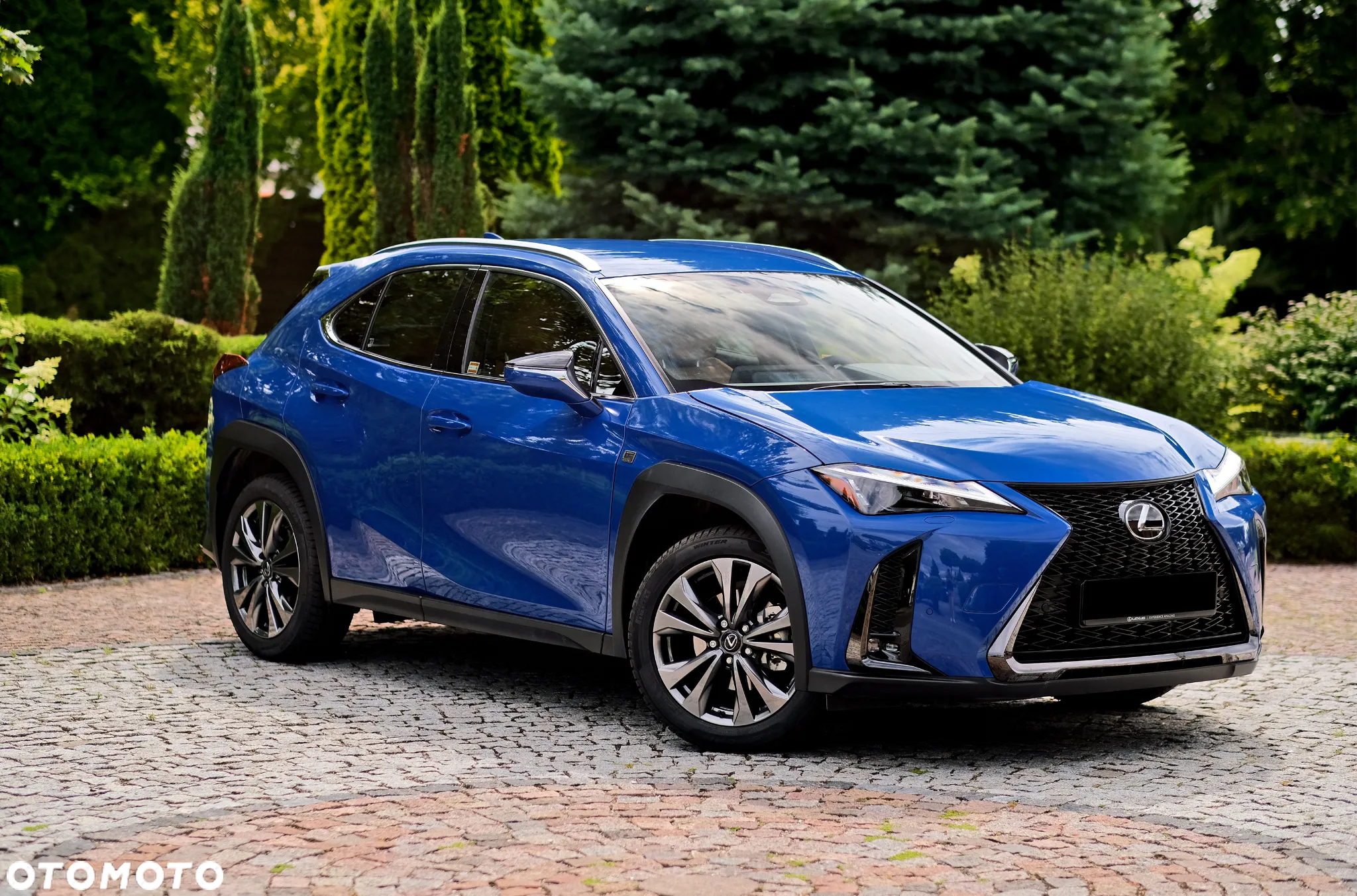 Lexus UX - 6