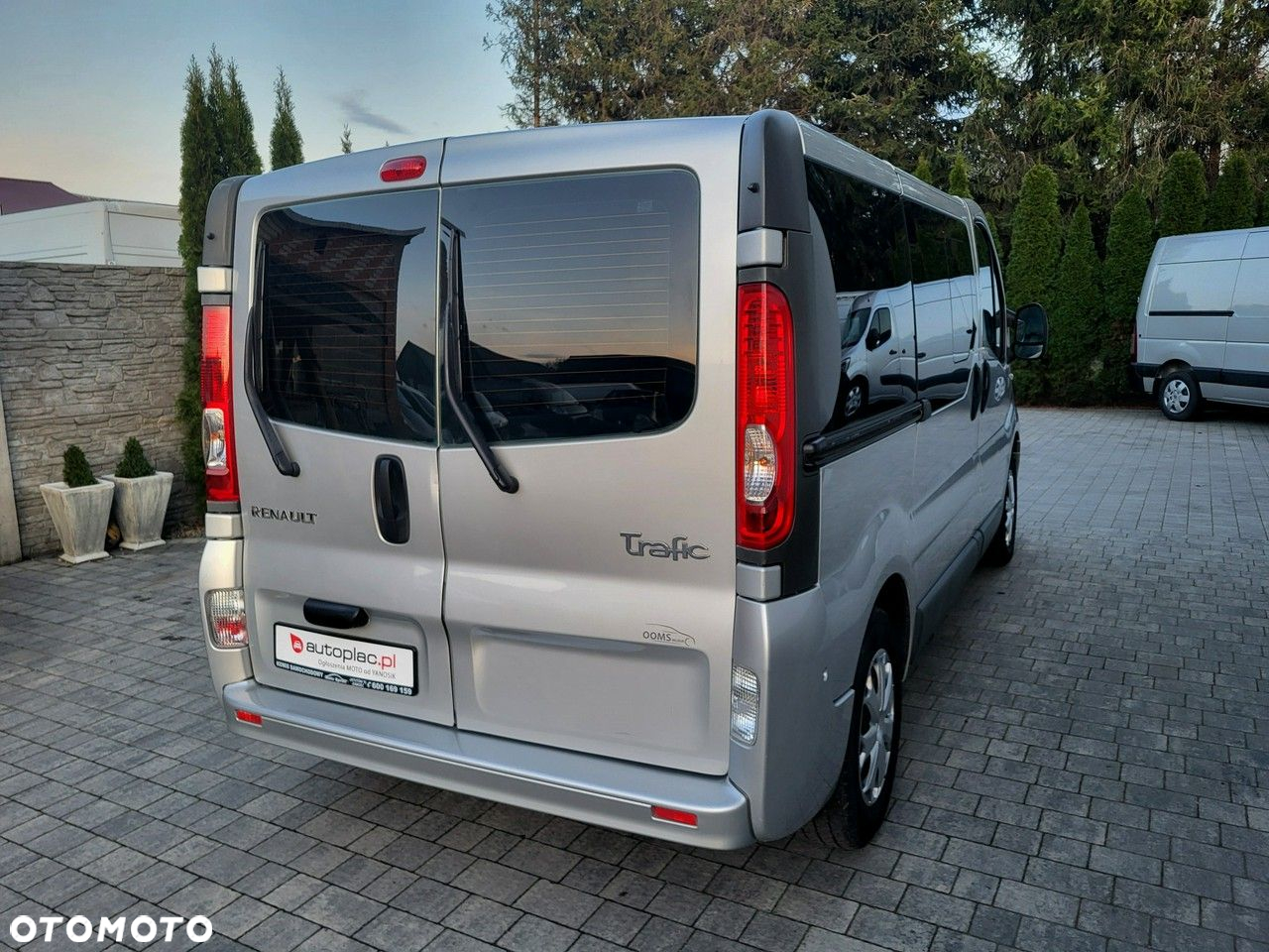 Renault Trafic - 6