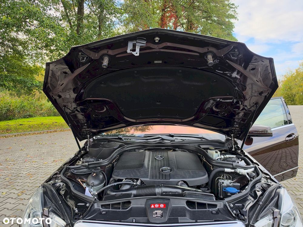 Mercedes-Benz Klasa E 250 CDI DPF BlueEFFICIENCY Avantgarde - 34