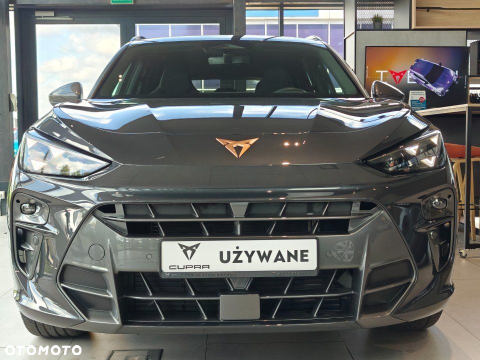 Cupra Terramar - 3