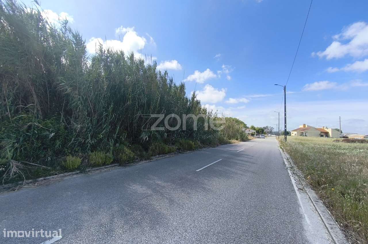 Terreno com 2528 m2 urbanizável - Lombomeão, Vagos - Grande imagem: 3/7