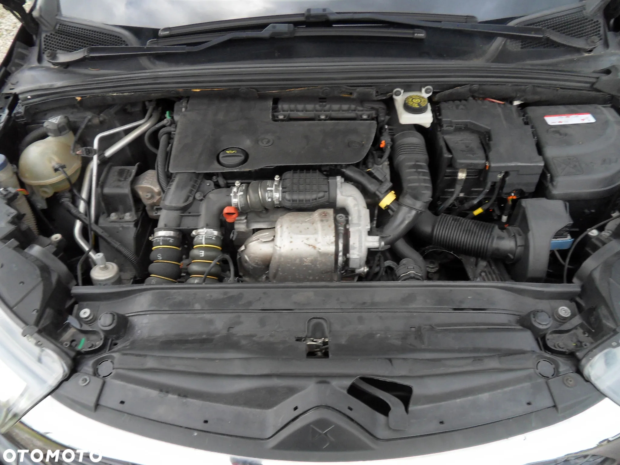 Citroën DS4 e-HDi 115 Urban Show - 19