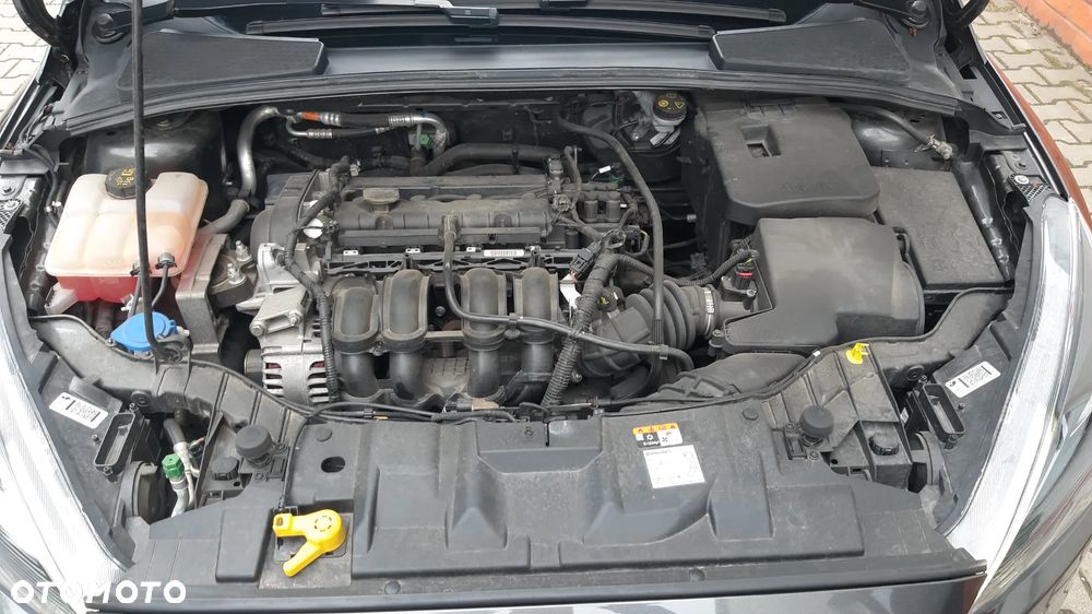 Ford Focus 1.6 Gold X - 7