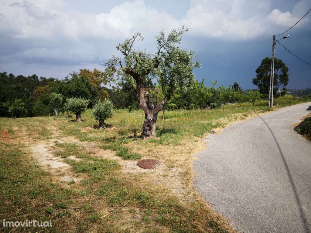 Espectacular terreno para construção - Ourem - Grande imagem: 4/8