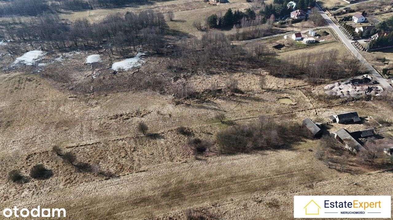 Działka rolno- budowlana w Klonowie, gm. Łaczna - Pełny obrazek: 5/9