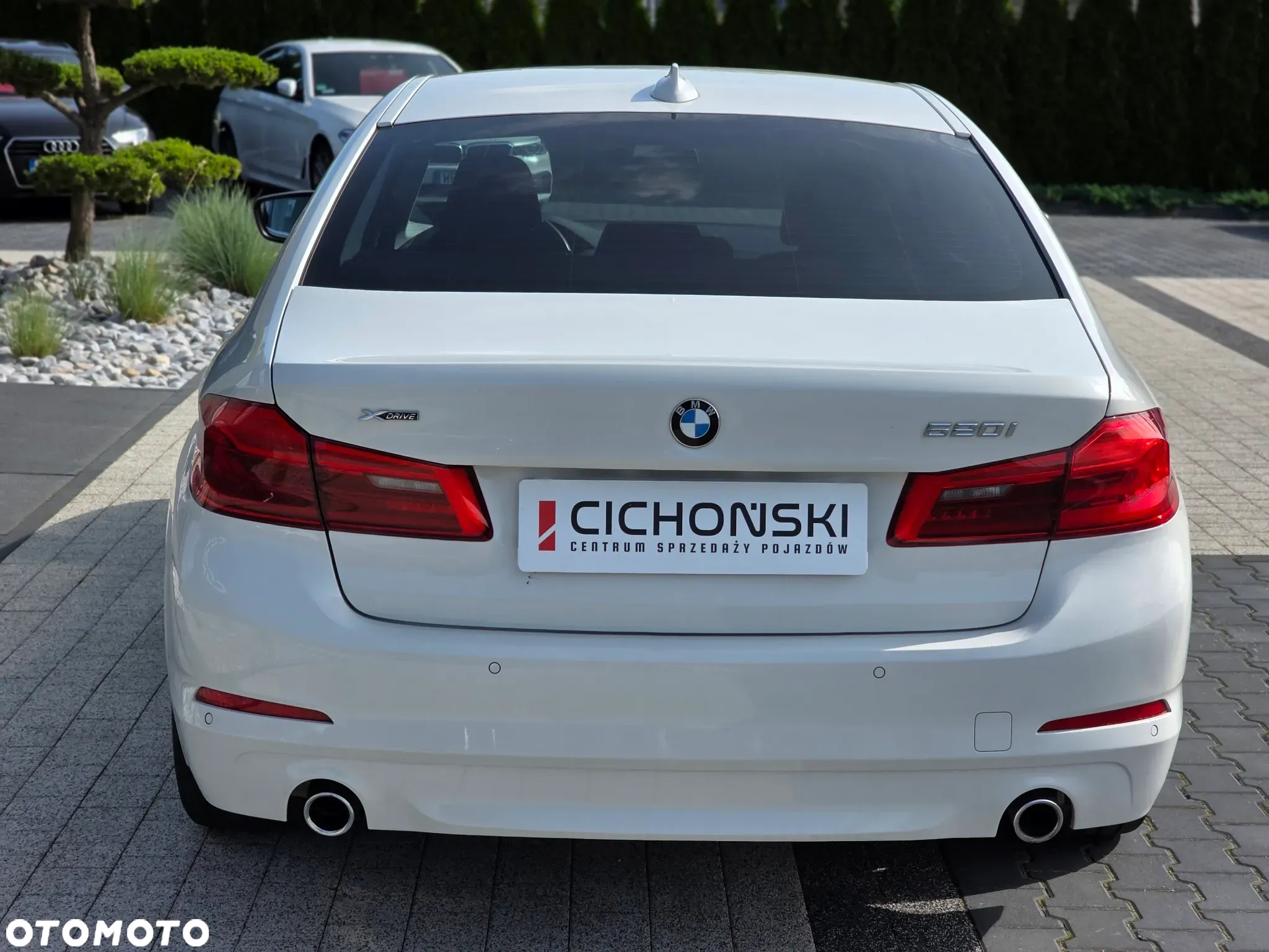 BMW Seria 5 520i - 6
