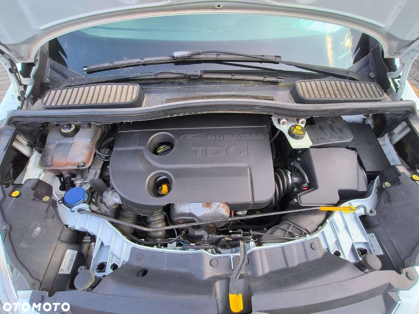 Ford C-MAX - 18