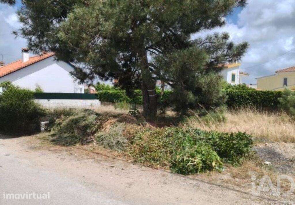 Terreno em Azeitão - Grande imagem: 3/9