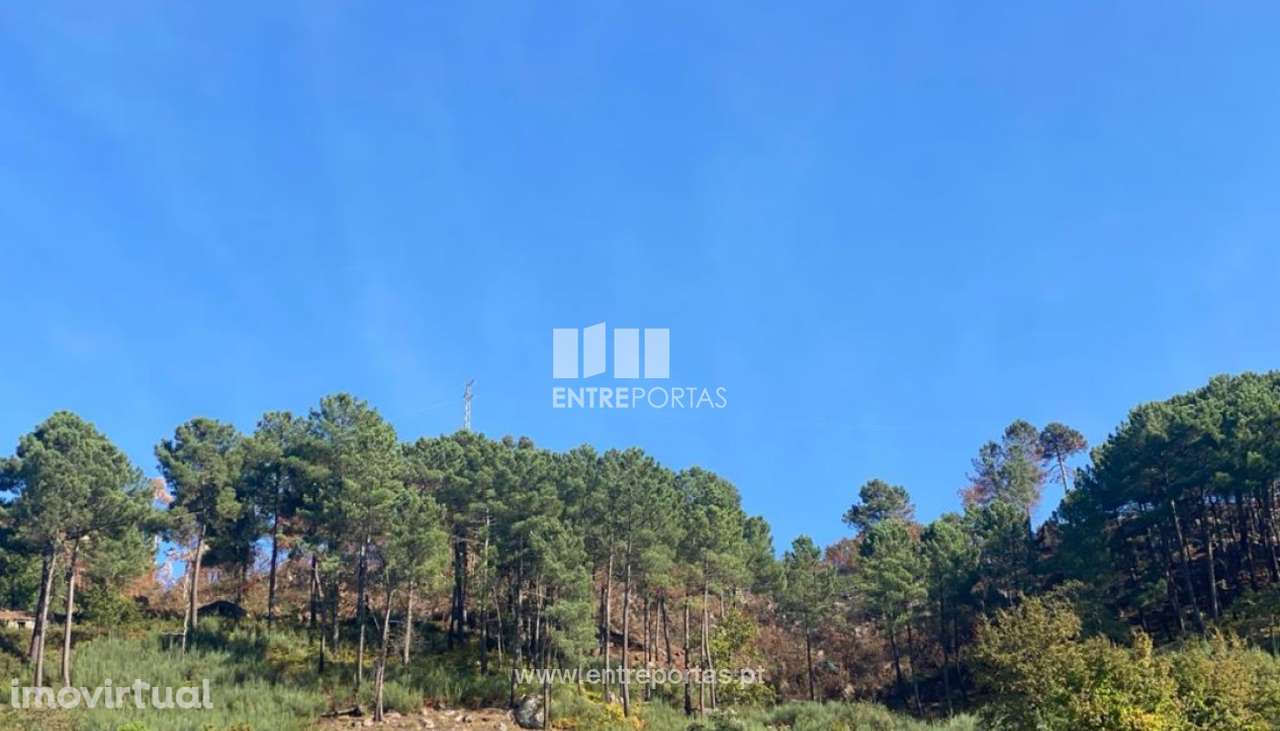 Venda Terreno, São Cristóvão de Nogueira, Cinfães - Grande imagem: 5/8