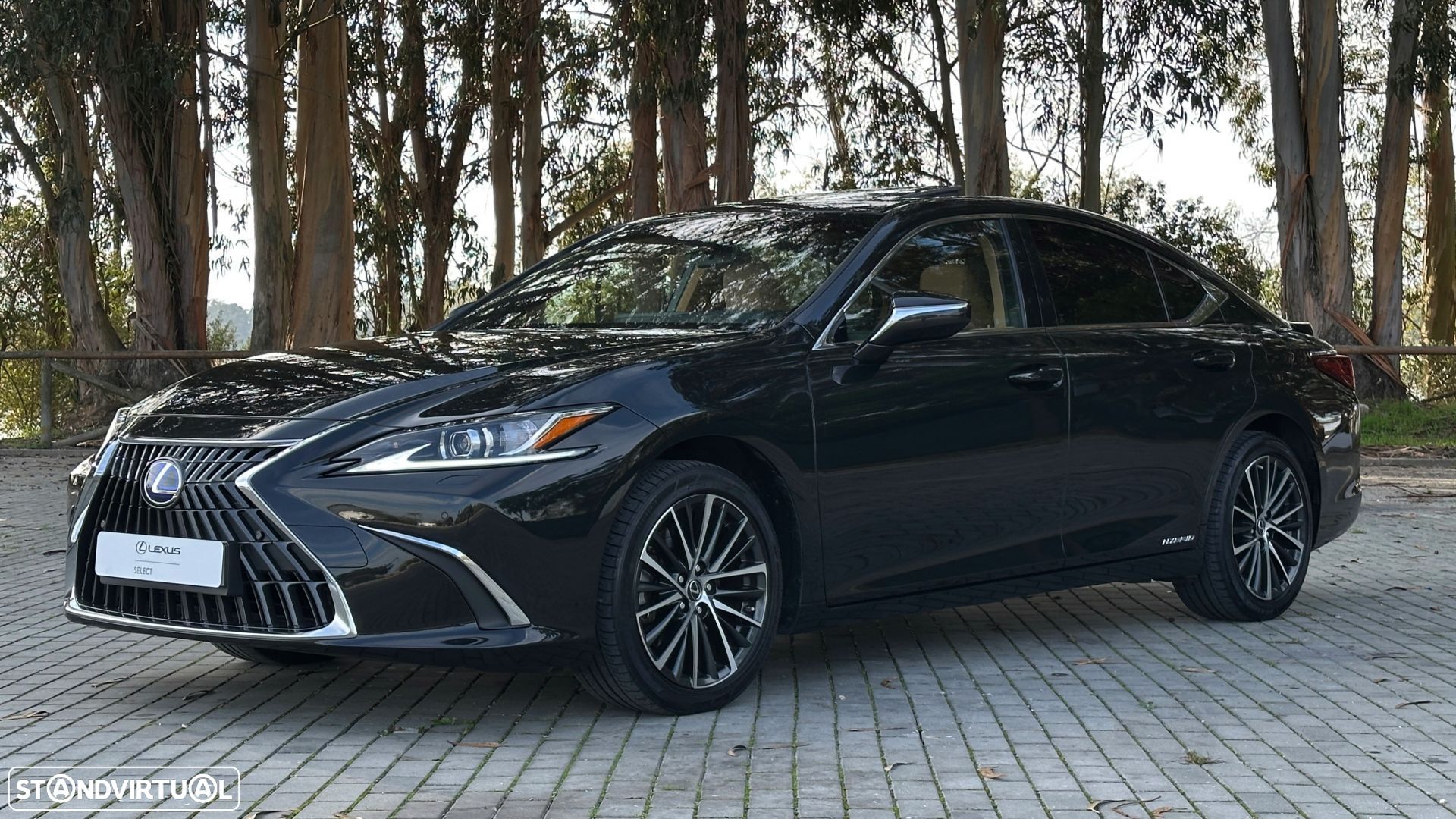 Lexus ES 300h Special Edition - 1