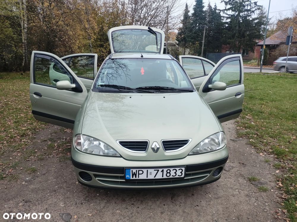 Renault Megane - 25