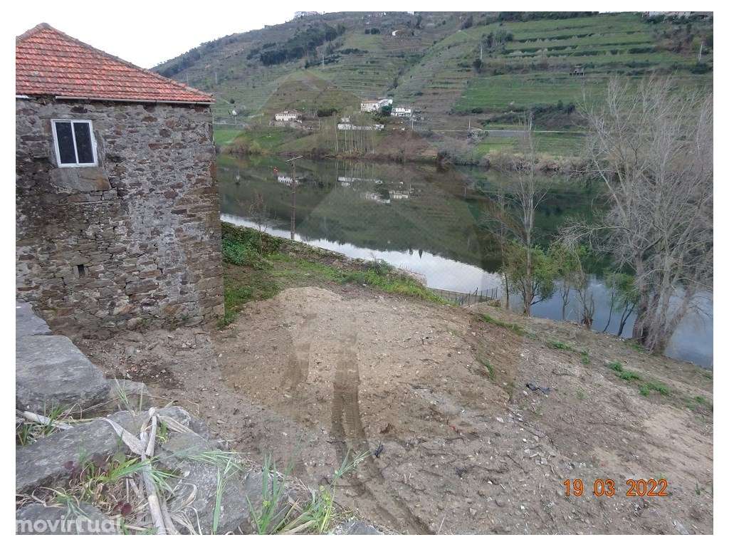 Quintinha - Mesão Frio - Grande imagem: 2/15