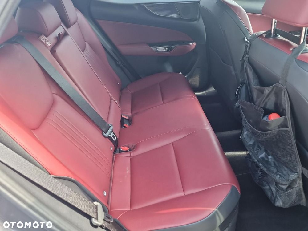 Lexus NX 350h Business AWD - 11