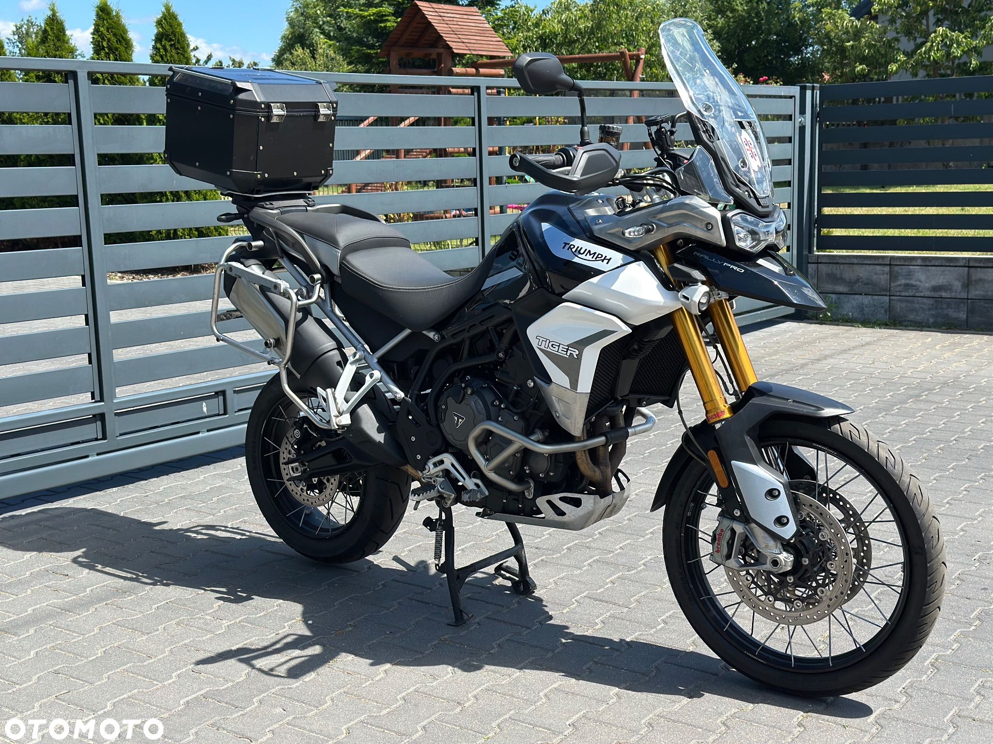 Triumph Tiger - 1