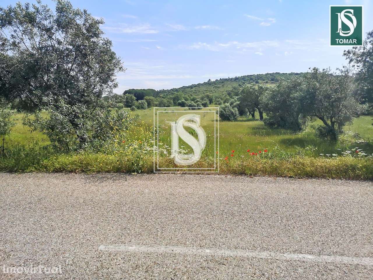 Terreno  em Chãos - Grande imagem: 4/9