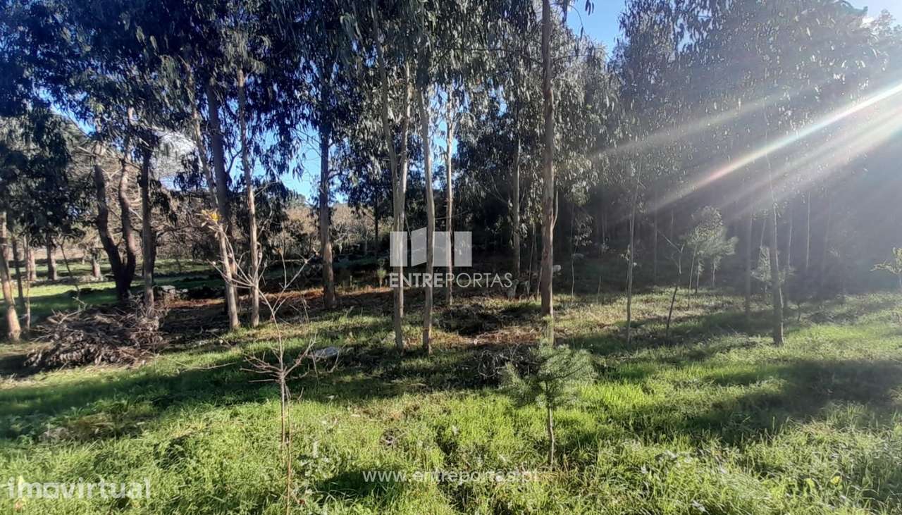 Terreno para venda, Âncora, Caminha - Grande imagem: 2/12