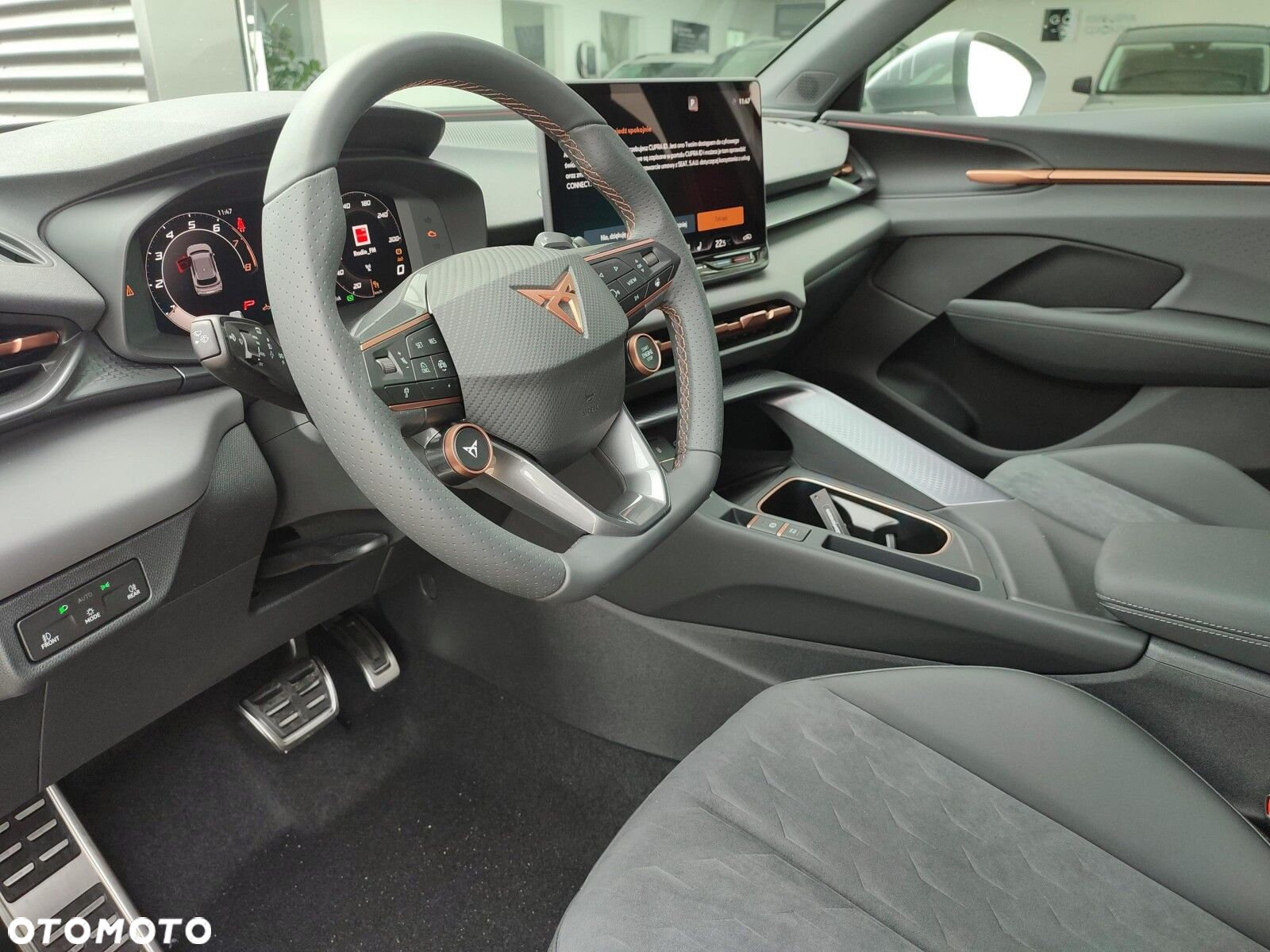 Cupra Terramar - 9