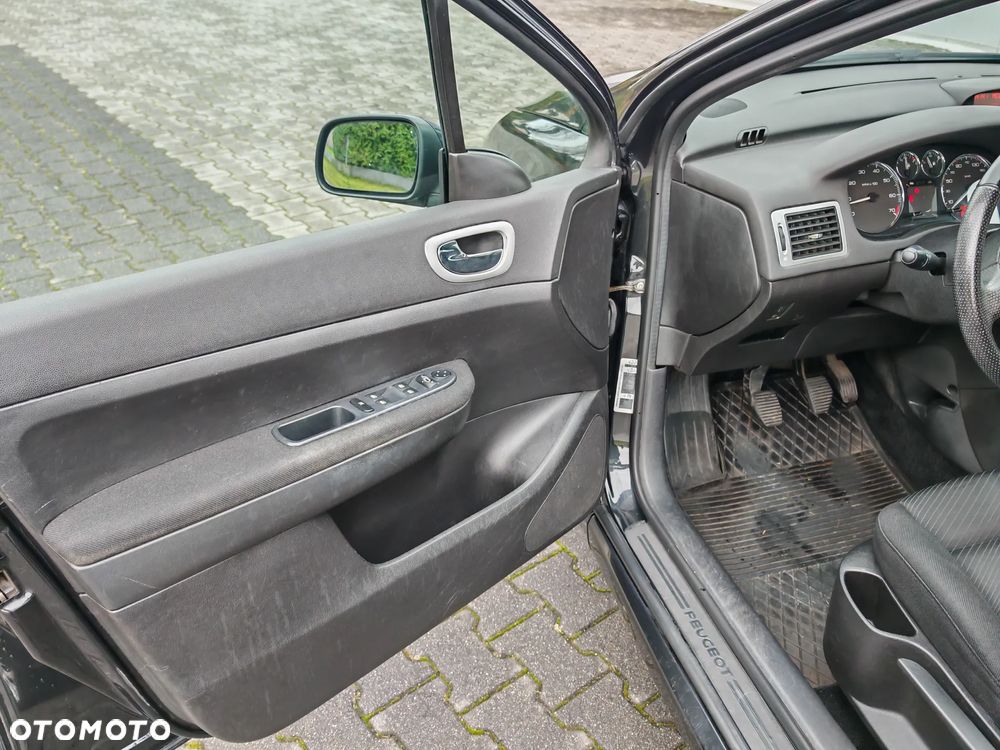 Peugeot 307 1.6 Sporty - 18