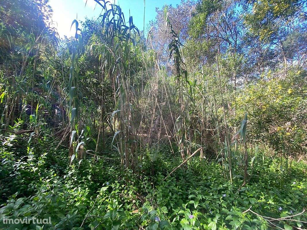 Terreno  para venda - Grande imagem: 4/17