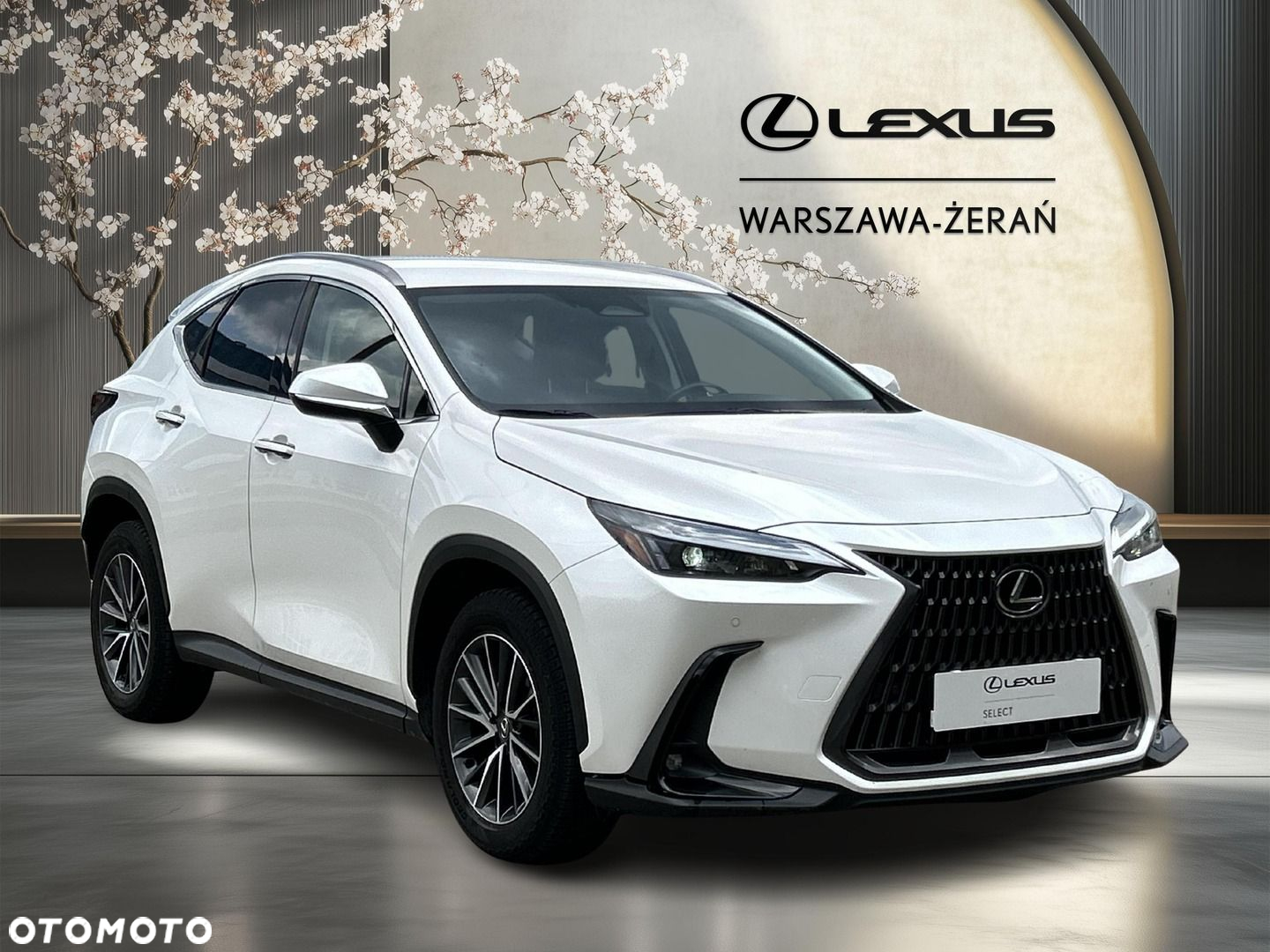 Lexus NX - 9