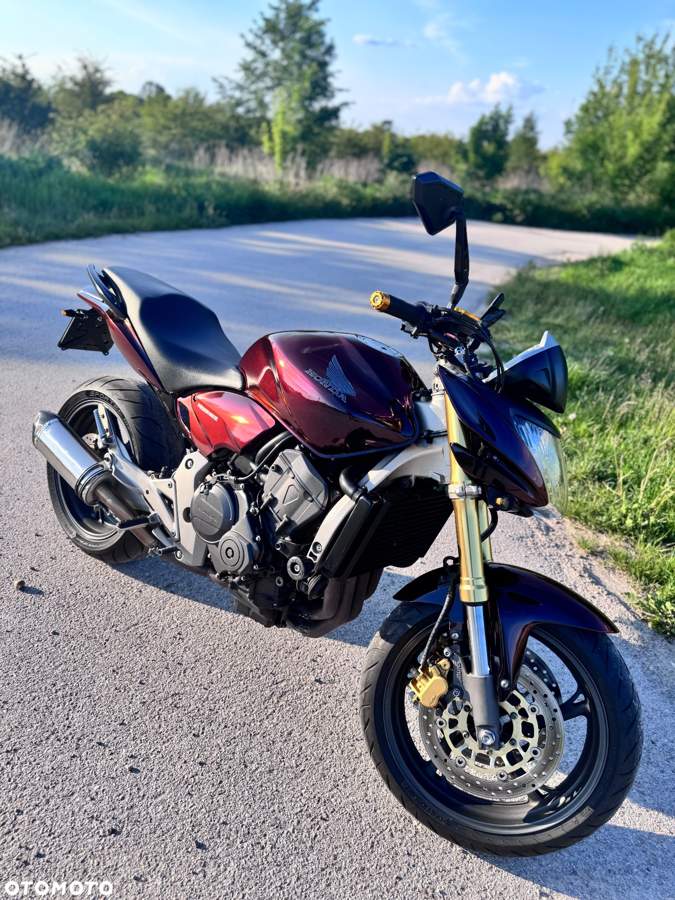 Honda Hornet - 5