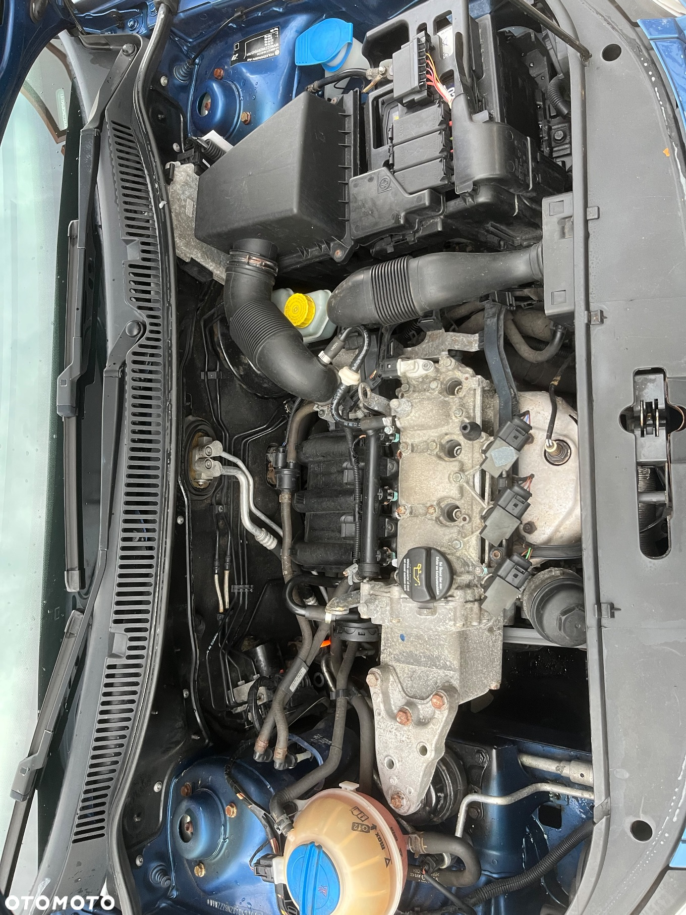 Volkswagen Polo 1.2 Team - 37